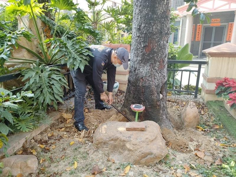 惠州永湖白蚁防治,白蚁危害处理方法,永湖白蚁防治