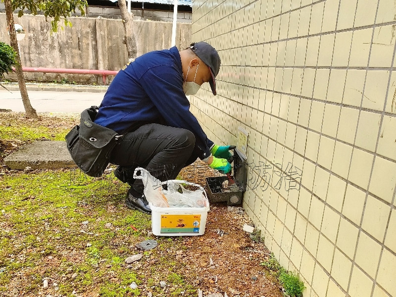 惠州水口灭鼠公司